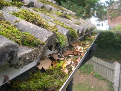 Remove Moss From Your Gutter With Our Gutter Services